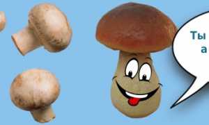 Как избавиться от молочницы в домашних условиях?