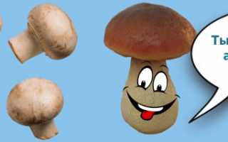 Как избавиться от молочницы в домашних условиях?