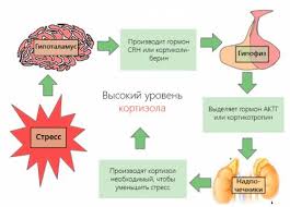 Почему кружится голова от нервов