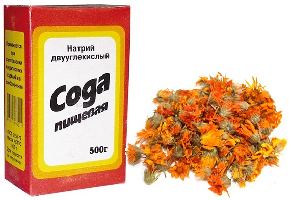 Сода и цветки календулы