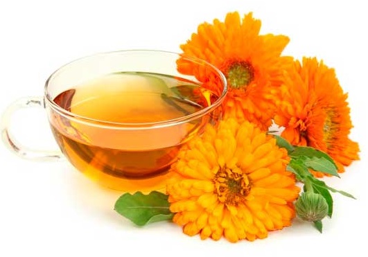 Отвар календулы