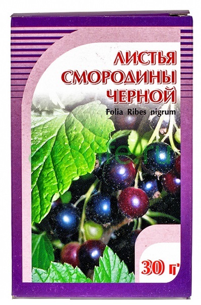 Лист черной смородины