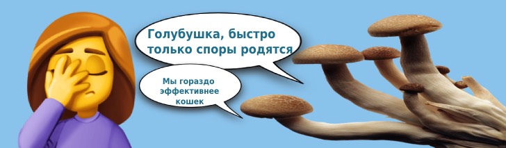 молочница у женщины