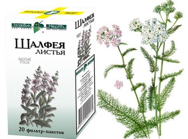 Шалфей и тысячелистник