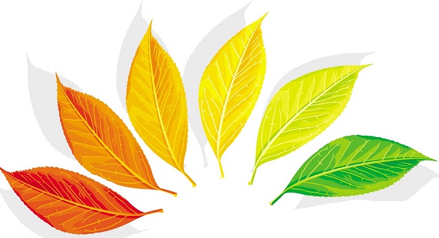 Цвета выделений