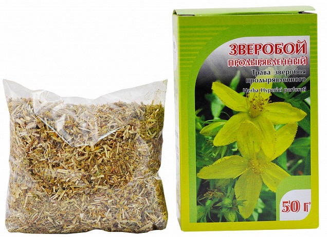 Зверобой аптечный