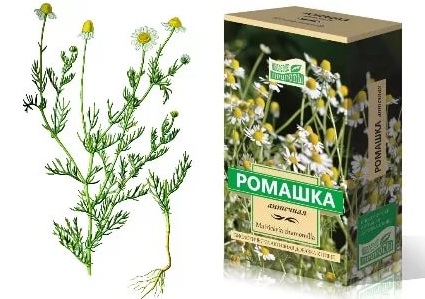 Ромашка лекарственная