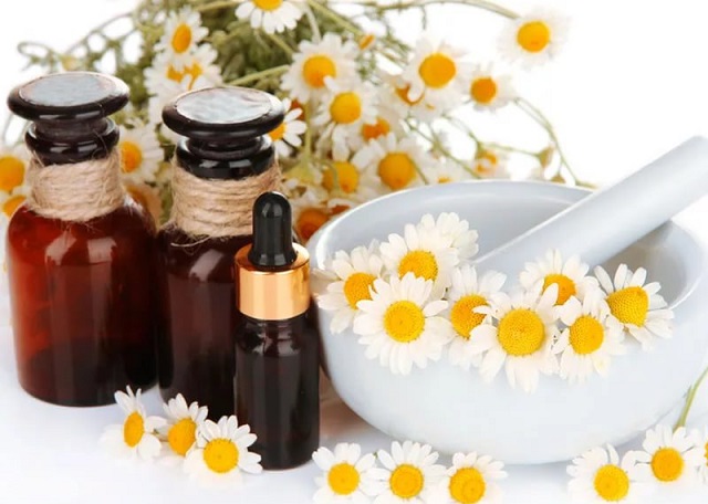 Лечение ромашкой