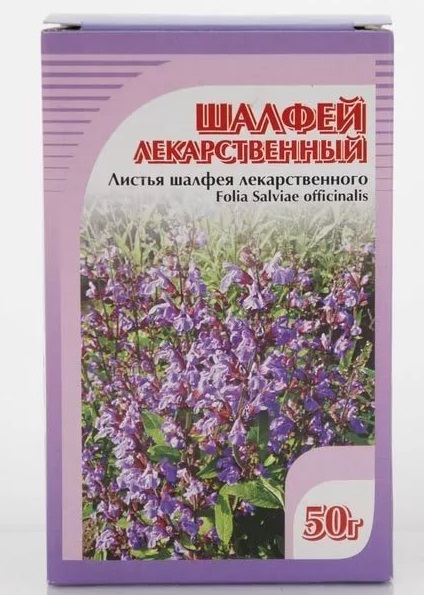 Шалфей аптечный