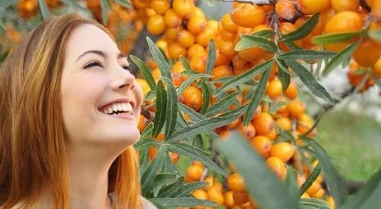 Девушка и облепиха