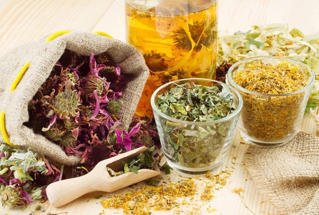 Сбор лекарственных трав