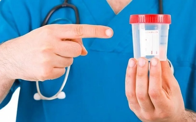 Сдача анализов