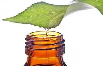 Масло капает слисточка