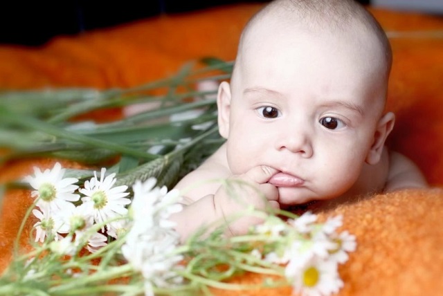 Малыш и ромашка