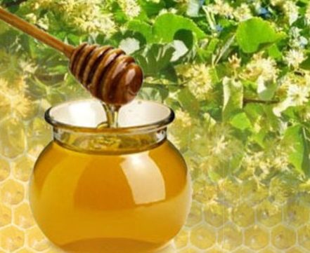 Липовый мед