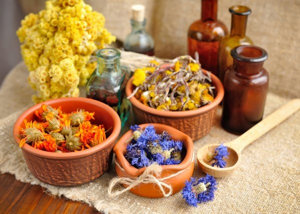 Травы для лечения молочницы