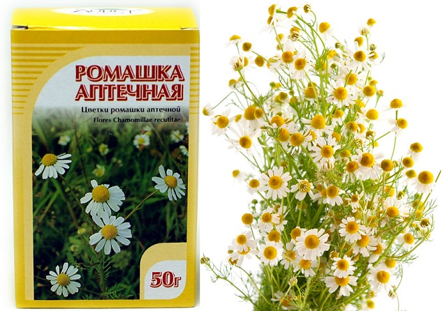 Лечебная ромашка