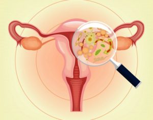 Микрофлора влагалища