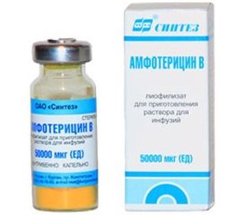 Амфотерицин В